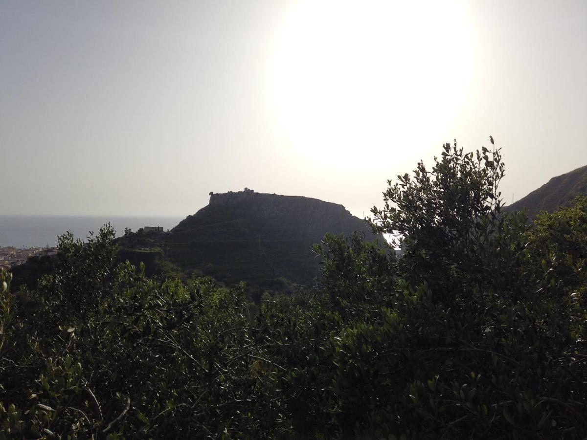 הוילה אמנטיאה Il Mandorlo מראה חיצוני תמונה